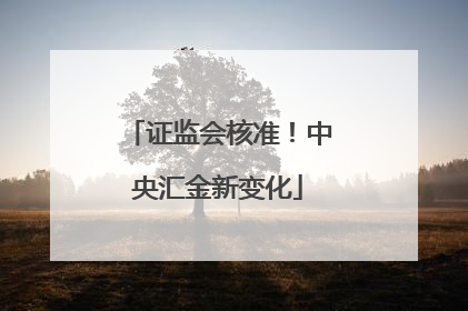 证监会核准！中央汇金新变化