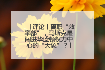 评论丨离职“效率部”，马斯克是闯进华盛顿权力中心的“大象”？