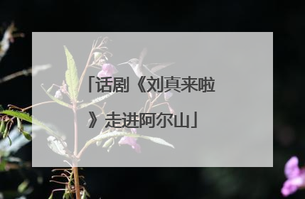 话剧《刘真来啦》走进阿尔山