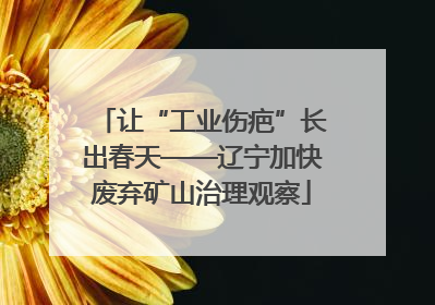让“工业伤疤”长出春天——辽宁加快废弃矿山治理观察