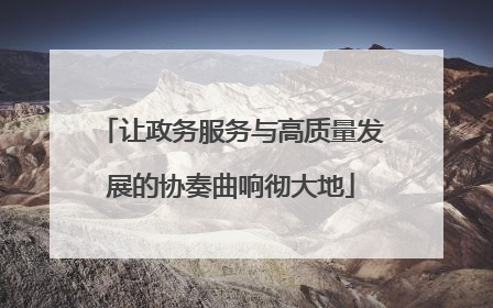 让政务服务与高质量发展的协奏曲响彻大地