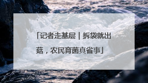 记者走基层｜拆袋就出菇，农民育菌真省事