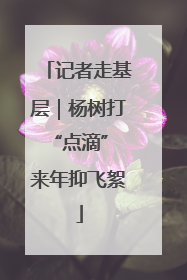 记者走基层｜杨树打“点滴” 来年抑飞絮