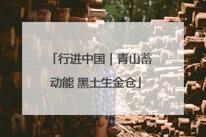 行进中国｜青山蓄动能 黑土生金仓