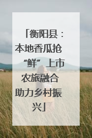 衡阳县：本地香瓜抢“鲜”上市 农旅融合助力乡村振兴