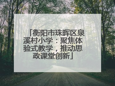 衡阳市珠晖区泉溪村小学：聚焦体验式教学，推动思政课堂创新