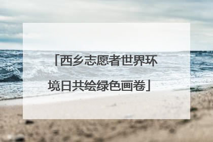 西乡志愿者世界环境日共绘绿色画卷