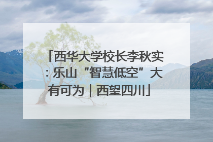 西华大学校长李秋实：乐山“智慧低空”大有可为｜西望四川
