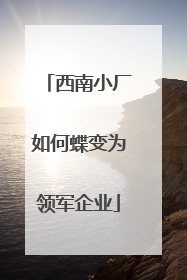 西南小厂如何蝶变为领军企业