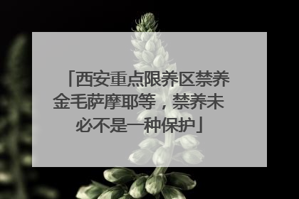 西安重点限养区禁养金毛萨摩耶等，禁养未必不是一种保护