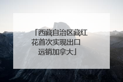西藏自治区藏红花首次实现出口 远销加拿大