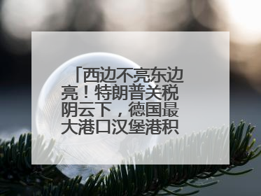 西边不亮东边亮！特朗普关税阴云下，德国最大港口汉堡港积极“向东看”