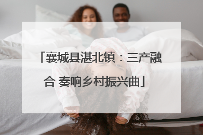 襄城县湛北镇：三产融合 奏响乡村振兴曲