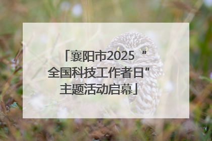襄阳市2025“全国科技工作者日”主题活动启幕