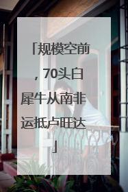 规模空前，70头白犀牛从南非运抵卢旺达