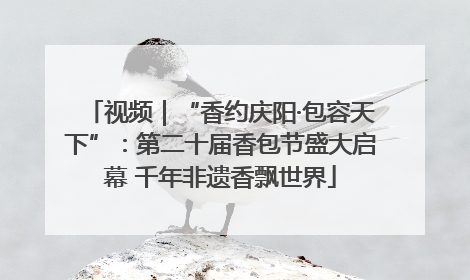 视频｜“香约庆阳·包容天下”：第二十届香包节盛大启幕 千年非遗香飘世界