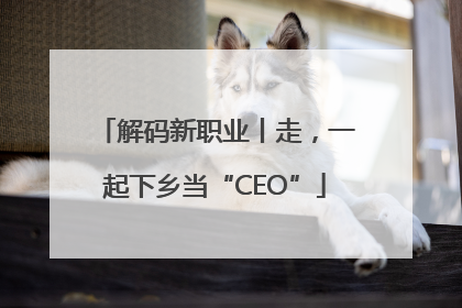 解码新职业丨走，一起下乡当“CEO”