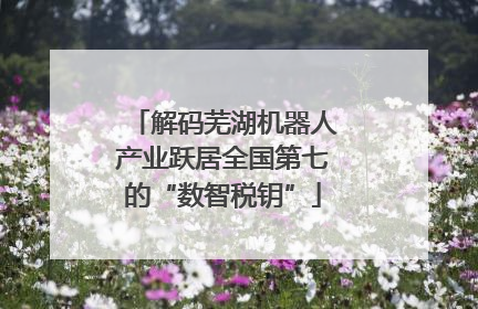 解码芜湖机器人产业跃居全国第七的“数智税钥”