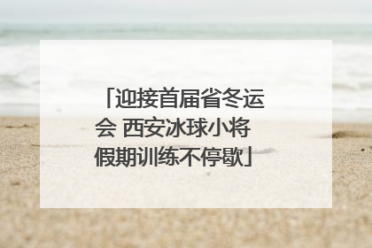 迎接首届省冬运会 西安冰球小将假期训练不停歇