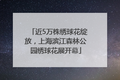 近5万株绣球花绽放，上海滨江森林公园绣球花展开幕