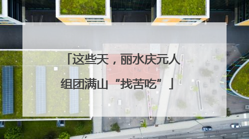 这些天，丽水庆元人组团满山“找苦吃”