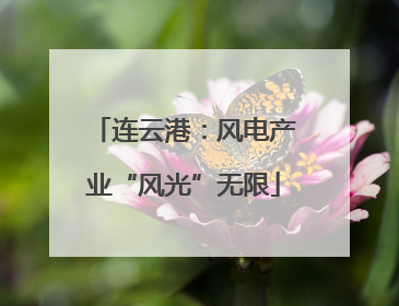 连云港：风电产业“风光”无限