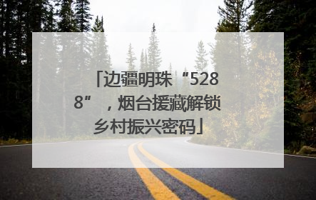 边疆明珠“5288”，烟台援藏解锁乡村振兴密码