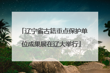 辽宁省古籍重点保护单位成果展在辽大举行