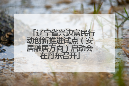 辽宁省兴边富民行动创新推进试点（安居融居方向）启动会在丹东召开