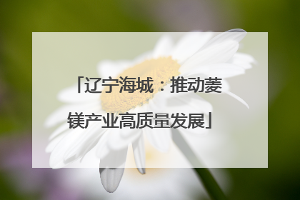 辽宁海城：推动菱镁产业高质量发展