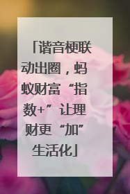 谐音梗联动出圈，蚂蚁财富“指数+”让理财更“加”生活化