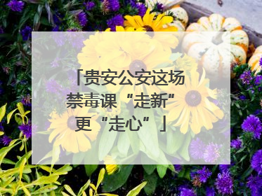 贵安公安这场禁毒课“走新”更“走心”