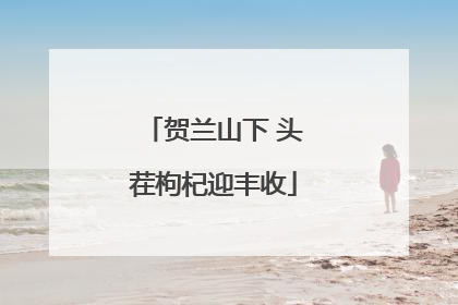 贺兰山下 头茬枸杞迎丰收