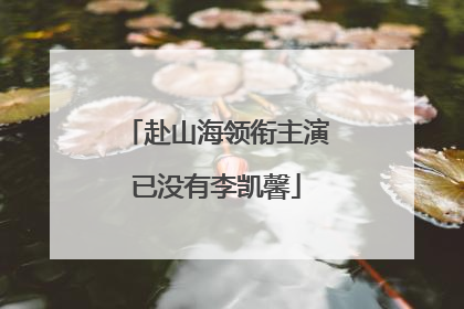 赴山海领衔主演已没有李凯馨