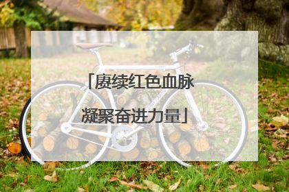 赓续红色血脉 凝聚奋进力量