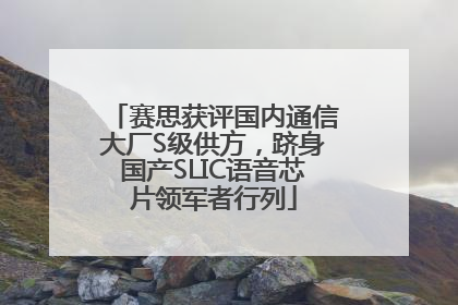 赛思获评国内通信大厂S级供方，跻身国产SLIC语音芯片领军者行列