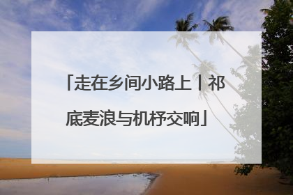 走在乡间小路上丨祁底麦浪与机杼交响
