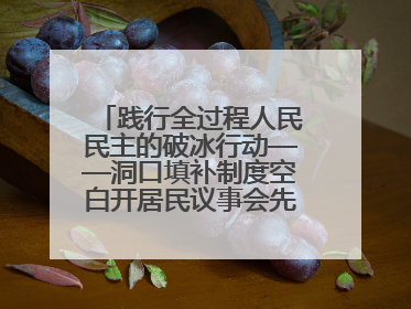 践行全过程人民民主的破冰行动——洞口填补制度空白开居民议事会先河侧记