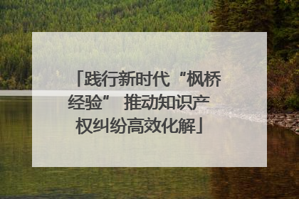 践行新时代“枫桥经验” 推动知识产权纠纷高效化解