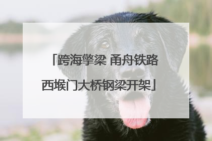 跨海擎梁 甬舟铁路西堠门大桥钢梁开架