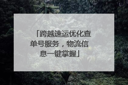 跨越速运优化查单号服务，物流信息一键掌握