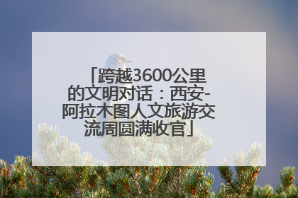 跨越3600公里的文明对话：西安-阿拉木图人文旅游交流周圆满收官
