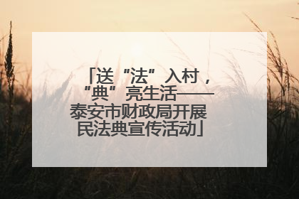 送“法”入村，“典”亮生活——泰安市财政局开展民法典宣传活动