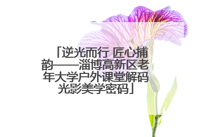 逆光而行 匠心捕韵——淄博高新区老年大学户外课堂解码光影美学密码