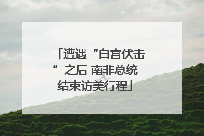 遭遇“白宫伏击”之后 南非总统结束访美行程