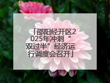 邵阳经开区2025年冲刺“双过半”经济运行调度会召开