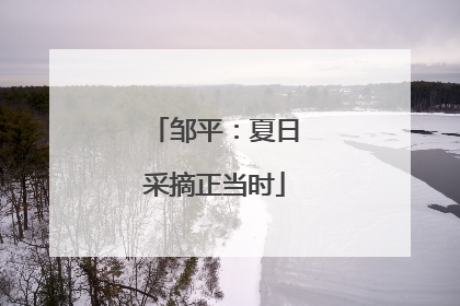 邹平：夏日采摘正当时