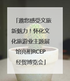 邀您感受文旅新魅力！怀化文化旅游业主题展馆亮相RCEP经贸博览会