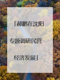 郝鹏在沈阳专题调研民营经济发展
