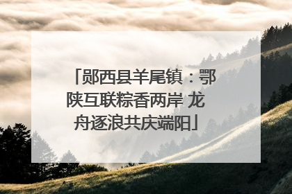 郧西县羊尾镇：鄂陕互联粽香两岸 龙舟逐浪共庆端阳